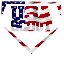 Load image into Gallery viewer, Scout Homeplate logo
