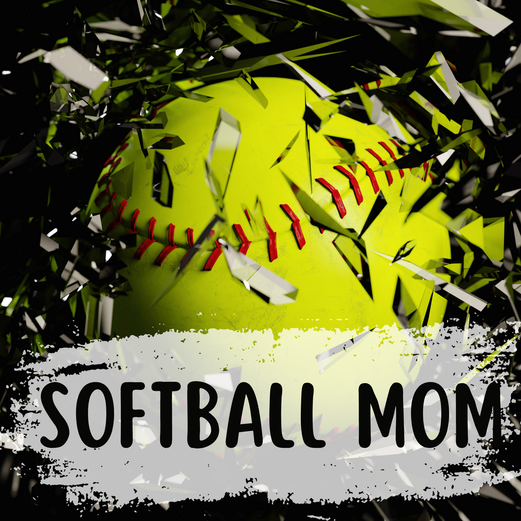 Softball Mom Mystery Bag