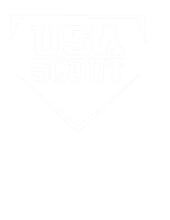 Load image into Gallery viewer, Scout word logo
